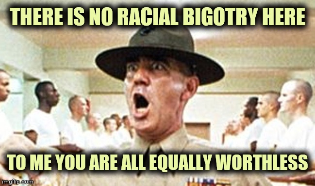 Full Metal Jacket USMC Drill Sergeant R Lee Ermey Cropped | THERE IS NO RACIAL BIGOTRY HERE TO ME YOU ARE ALL EQUALLY WORTHLESS | image tagged in full metal jacket usmc drill sergeant r lee ermey cropped | made w/ Imgflip meme maker