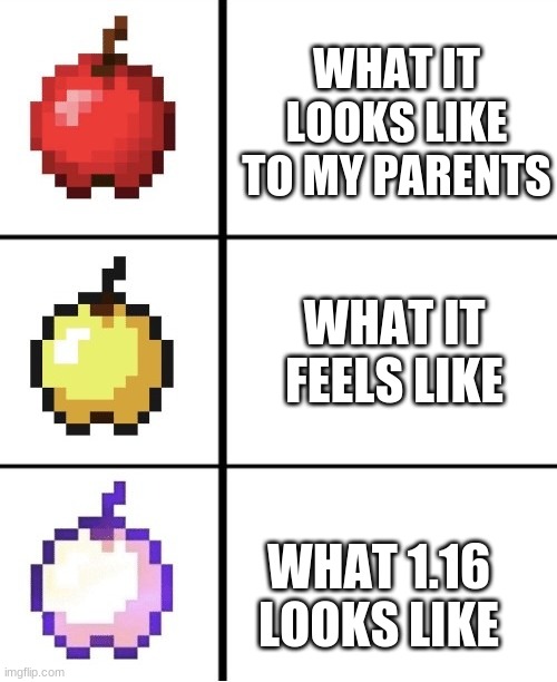 1.16 meme | WHAT IT LOOKS LIKE TO MY PARENTS; WHAT IT FEELS LIKE; WHAT 1.16 LOOKS LIKE | image tagged in minecraft apple format | made w/ Imgflip meme maker