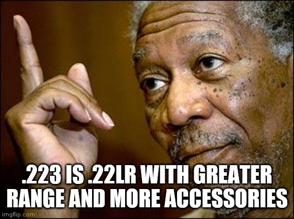 This Morgan Freeman | .223 IS .22LR WITH GREATER RANGE AND MORE ACCESSORIES | image tagged in this morgan freeman | made w/ Imgflip meme maker