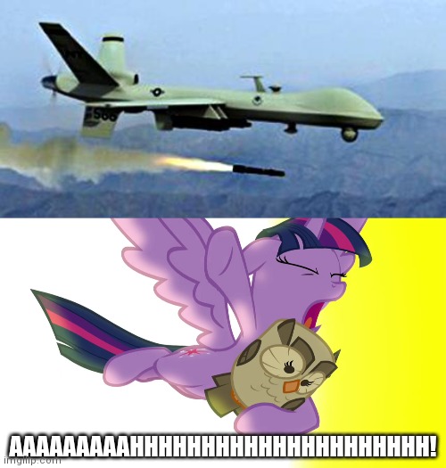 AAAAAAAAAHHHHHHHHHHHHHHHHHHHHH! | image tagged in drone shooting missle,twilight escapes from explosion mlp | made w/ Imgflip meme maker