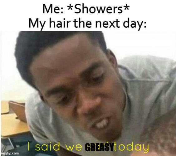 i'm begging you to follow | Me: *Showers* 
My hair the next day:; GREASY | image tagged in i said we ____ today,greasy hair | made w/ Imgflip meme maker