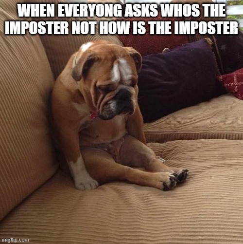 bulldogsad | WHEN EVERYONG ASKS WHOS THE IMPOSTER NOT HOW IS THE IMPOSTER | image tagged in bulldogsad | made w/ Imgflip meme maker