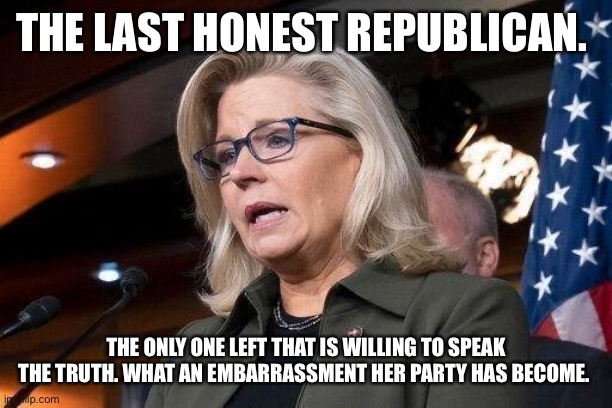 Liz Cheney | THE LAST HONEST REPUBLICAN. THE ONLY ONE LEFT THAT IS WILLING TO SPEAK THE TRUTH. WHAT AN EMBARRASSMENT HER PARTY HAS BECOME. | image tagged in liz cheney | made w/ Imgflip meme maker