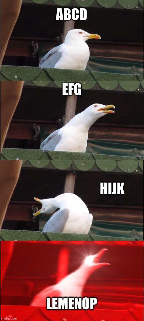 what i actually said in kindergarten | ABCD; EFG; HIJK; LEMENOP | image tagged in memes,inhaling seagull | made w/ Imgflip meme maker