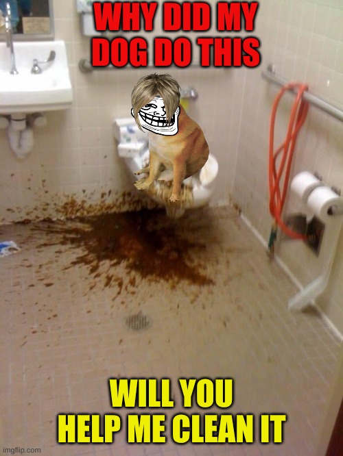 Girls poop too | WHY DID MY DOG DO THIS; WILL YOU HELP ME CLEAN IT | image tagged in girls poop too | made w/ Imgflip meme maker