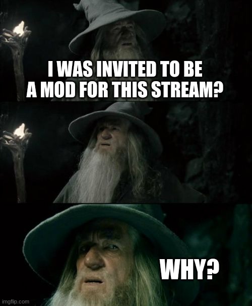 guess im a mod | I WAS INVITED TO BE A MOD FOR THIS STREAM? WHY? | image tagged in memes,confused gandalf | made w/ Imgflip meme maker