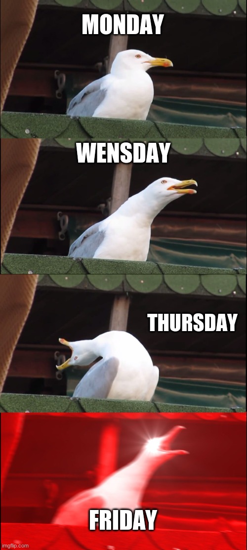 Inhaling Seagull Meme | MONDAY; WENSDAY; THURSDAY; FRIDAY | image tagged in memes,inhaling seagull | made w/ Imgflip meme maker