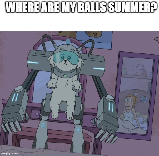 Where are my testicles summer  | WHERE ARE MY BALLS SUMMER? | image tagged in where are my testicles summer | made w/ Imgflip meme maker