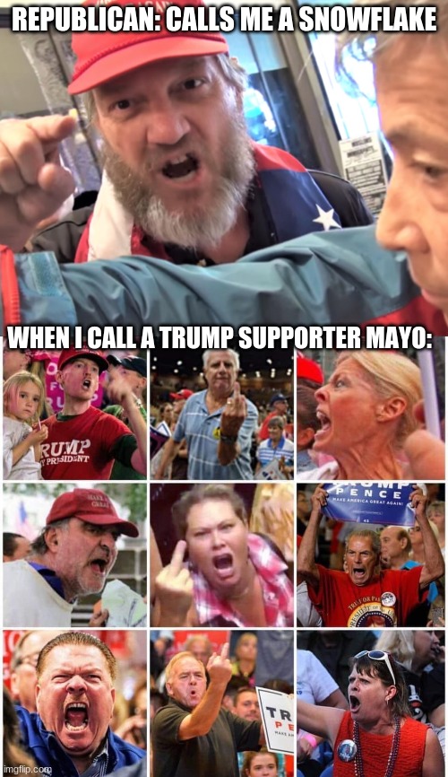 REPUBLICAN: CALLS ME A SNOWFLAKE; WHEN I CALL A TRUMP SUPPORTER MAYO: | image tagged in angry trump supporter,triggered trump supporters | made w/ Imgflip meme maker