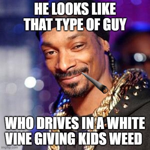 bruh | HE LOOKS LIKE THAT TYPE OF GUY; WHO DRIVES IN A WHITE VINE GIVING KIDS WEED | image tagged in snoop dogg | made w/ Imgflip meme maker