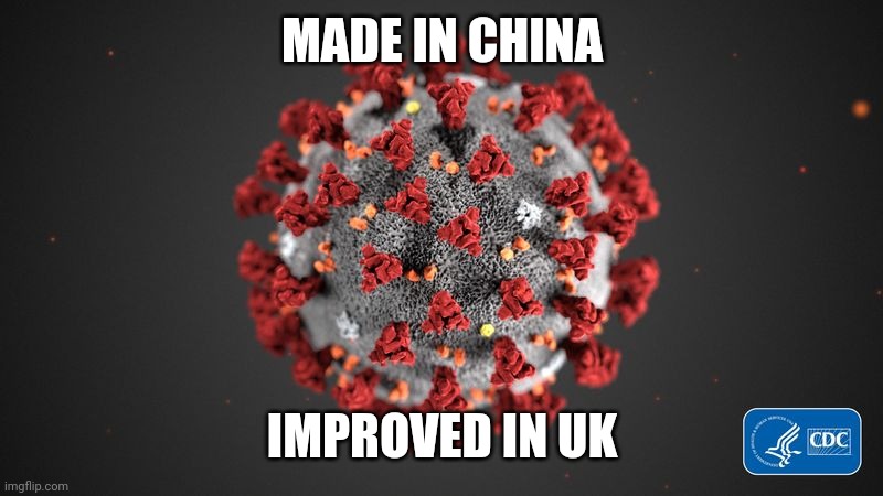 Trololo | MADE IN CHINA; IMPROVED IN UK | image tagged in covid 19,corona virus,coronavirus,covid-19,memes,funny | made w/ Imgflip meme maker