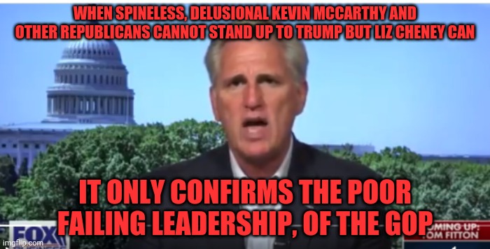 Kevin McCarthy | WHEN SPINELESS, DELUSIONAL KEVIN MCCARTHY AND OTHER REPUBLICANS CANNOT STAND UP TO TRUMP BUT LIZ CHENEY CAN; IT ONLY CONFIRMS THE POOR FAILING LEADERSHIP, OF THE GOP | image tagged in kevin mccarthy | made w/ Imgflip meme maker