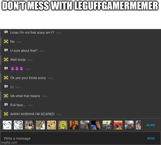 DON’T MESS WITH LEGUFFGAMERMEMER | made w/ Imgflip meme maker