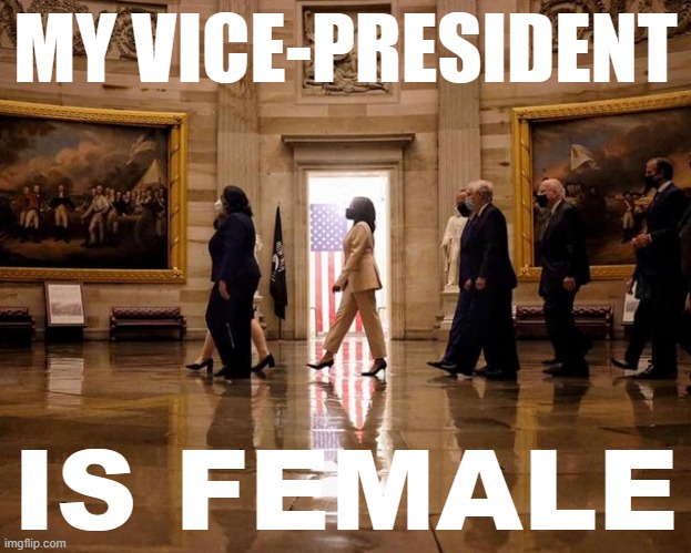 "The first woman Vice President in stride, backlit by a rectangle of soft light, with Old Glory also bathed in that light." | MY VICE-PRESIDENT; IS FEMALE | image tagged in kamala harris state of the union,kamala harris,vice president,feminism,patriotism,progress | made w/ Imgflip meme maker
