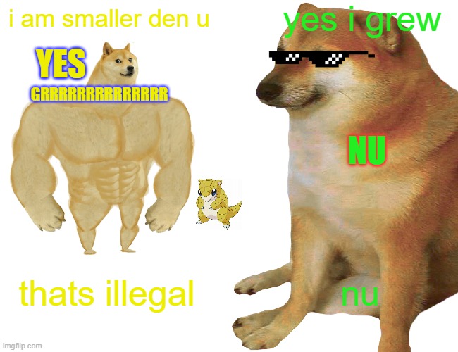 buff doge vs cheems | yes i grew; i am smaller den u; YES; GRRRRRRRRRRRRRR; NU; thats illegal; nu | image tagged in buff doge vs cheems | made w/ Imgflip meme maker