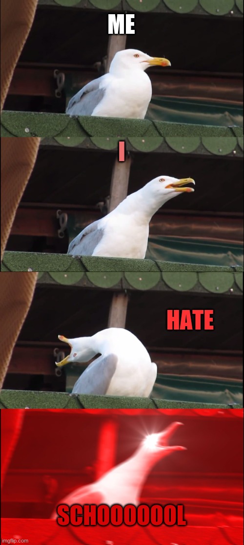 SCHOOOOOL | ME; I; HATE; SCHOOOOOOL | image tagged in memes,inhaling seagull | made w/ Imgflip meme maker