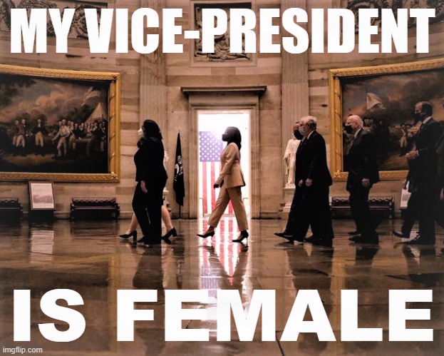 "The first woman Vice President in stride, backlit by a rectangle of soft light, with Old Glory also bathed in that light." | image tagged in kamala harris my vice-president is female redux 2,kamala harris,vice president,sexism,progress,patriotism | made w/ Imgflip meme maker