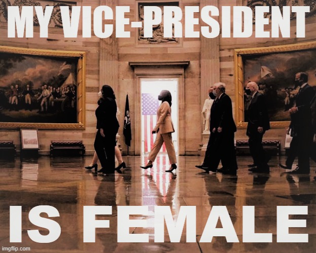 "The first woman Vice President in stride, backlit by a rectangle of soft light, with Old Glory also bathed in that light." | image tagged in kamala harris my vice-president is female redux 3,patriotism,kamala harris,vice president,sexism,progress | made w/ Imgflip meme maker