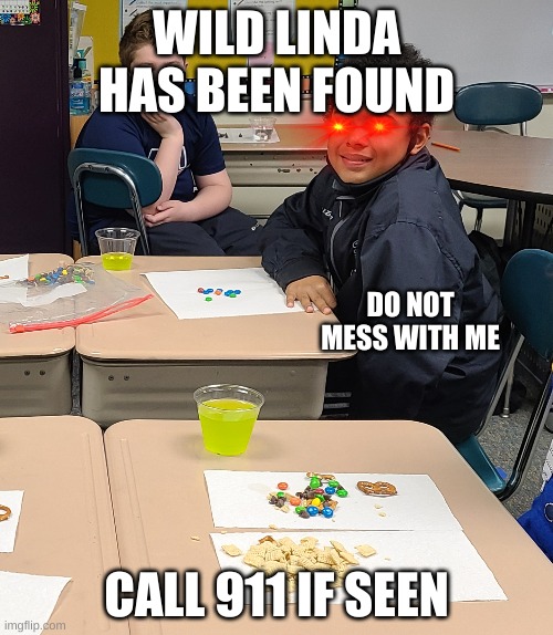 wild linda | WILD LINDA HAS BEEN FOUND; DO NOT MESS WITH ME; CALL 911 IF SEEN | image tagged in funny | made w/ Imgflip meme maker