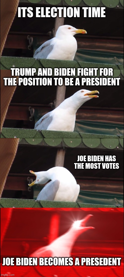 Inhaling Seagull Meme | ITS ELECTION TIME; TRUMP AND BIDEN FIGHT FOR THE POSITION TO BE A PRESIDENT; JOE BIDEN HAS THE MOST VOTES; JOE BIDEN BECOMES A PRESEDENT | image tagged in memes,inhaling seagull | made w/ Imgflip meme maker
