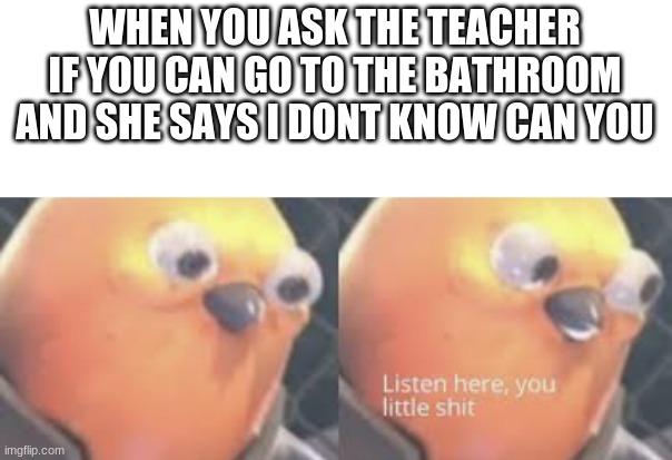 Listen here you little shit bird | WHEN YOU ASK THE TEACHER IF YOU CAN GO TO THE BATHROOM AND SHE SAYS I DONT KNOW CAN YOU | image tagged in listen here you little shit bird | made w/ Imgflip meme maker