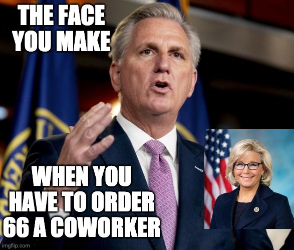 Happy May the 4th! | THE FACE YOU MAKE; WHEN YOU HAVE TO ORDER 66 A COWORKER | image tagged in gop,star wars,kevin mccarthy,treason | made w/ Imgflip meme maker