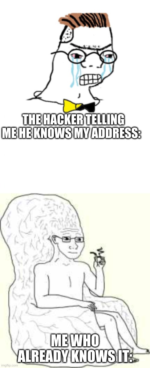e | THE HACKER TELLING ME HE KNOWS MY ADDRESS:; ME WHO ALREADY KNOWS IT: | image tagged in noooo you can't just,big brain wojak | made w/ Imgflip meme maker