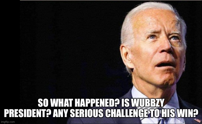 I’m clueless | SO WHAT HAPPENED? IS WUBBZY PRESIDENT? ANY SERIOUS CHALLENGE TO HIS WIN? | image tagged in joe biden | made w/ Imgflip meme maker