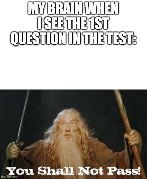 Tests be like: | MY BRAIN WHEN I SEE THE 1ST QUESTION IN THE TEST: | image tagged in gandalf you shall not pass | made w/ Imgflip meme maker