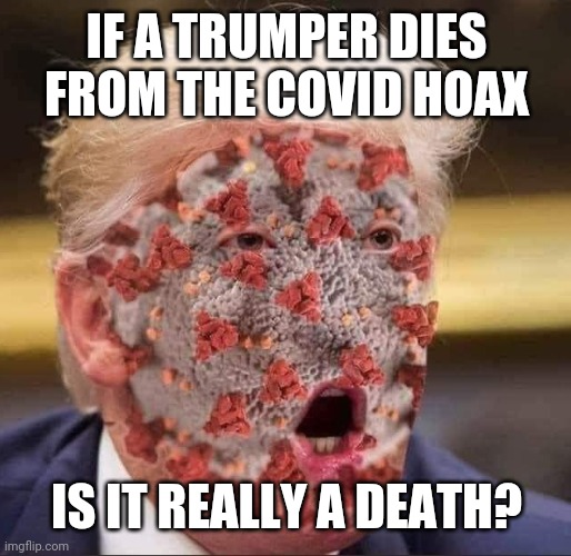 Trump's virus | IF A TRUMPER DIES FROM THE COVID HOAX; IS IT REALLY A DEATH? | image tagged in trump's virus | made w/ Imgflip meme maker