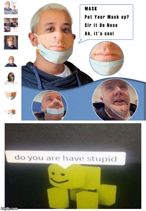 Sir, it on nose. Ah, its cool | image tagged in what,do you are have stupid,face mask,wish | made w/ Imgflip meme maker