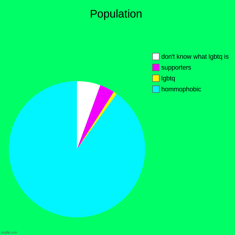 chart | Population | hommophobic, lgbtq, supporters, don't know what lgbtq is | image tagged in charts,pie charts | made w/ Imgflip chart maker