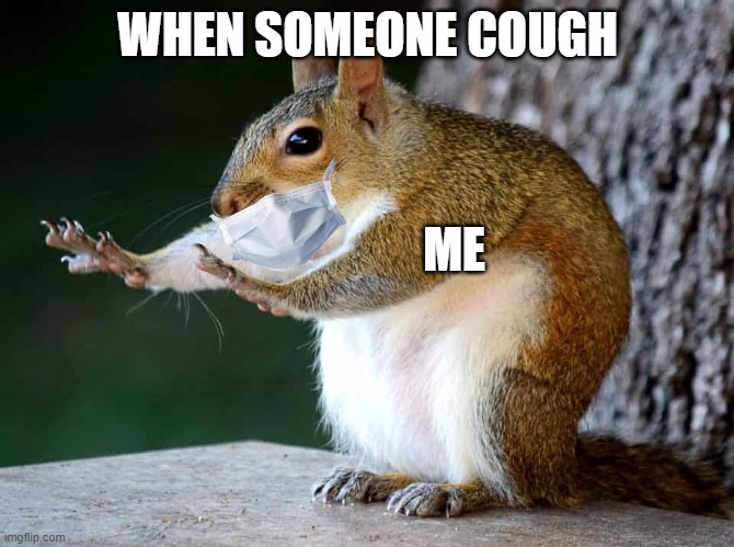 me be like | WHEN SOMEONE COUGH; ME | image tagged in mask,no covid | made w/ Imgflip meme maker