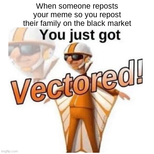 lol | When someone reposts your meme so you repost their family on the black market | image tagged in you just got vectored | made w/ Imgflip meme maker