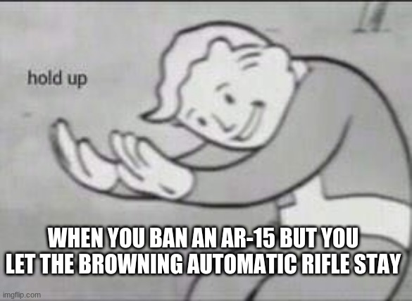 Anti gun people be like | WHEN YOU BAN AN AR-15 BUT YOU LET THE BROWNING AUTOMATIC RIFLE STAY | image tagged in fallout hold up | made w/ Imgflip meme maker