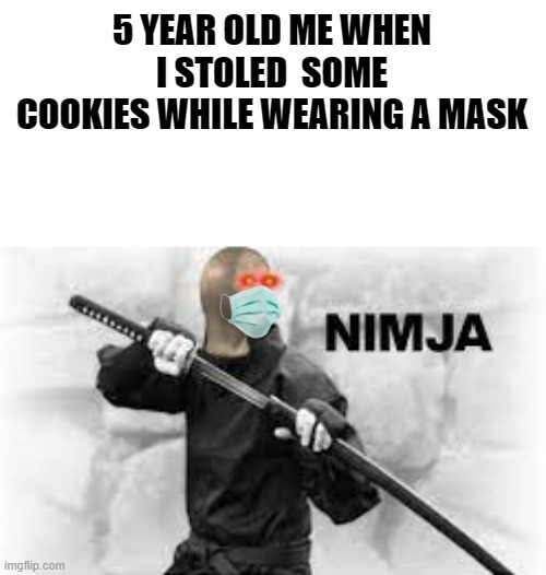 NiMjA | 5 YEAR OLD ME WHEN I STOLED  SOME COOKIES WHILE WEARING A MASK | image tagged in ninja | made w/ Imgflip meme maker