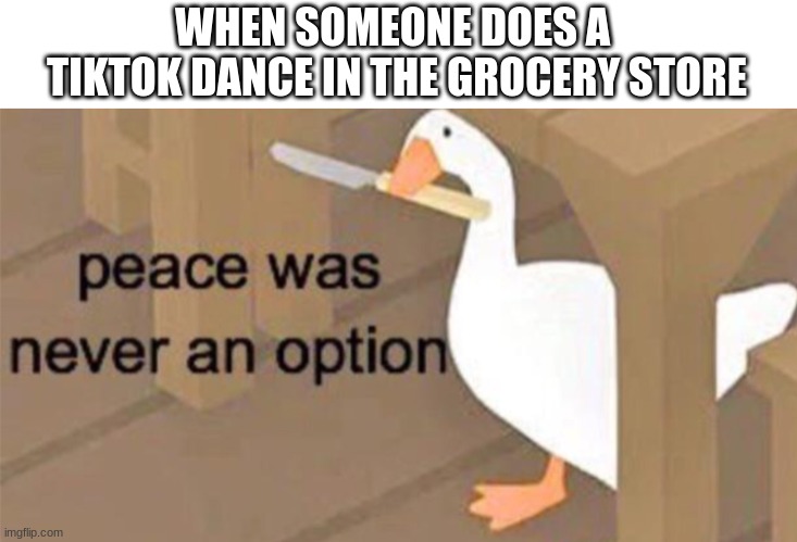 GoodMemeTitleHere | WHEN SOMEONE DOES A 
TIKTOK DANCE IN THE GROCERY STORE | image tagged in untitled goose peace was never an option | made w/ Imgflip meme maker
