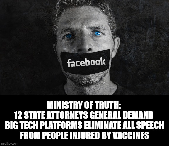 MINISTRY OF TRUTH: 
12 STATE ATTORNEYS GENERAL DEMAND 
BIG TECH PLATFORMS ELIMINATE ALL SPEECH
FROM PEOPLE INJURED BY VACCINES | made w/ Imgflip meme maker