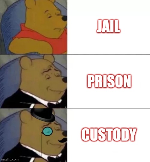 Fancy pooh | JAIL; PRISON; CUSTODY | image tagged in fancy pooh | made w/ Imgflip meme maker