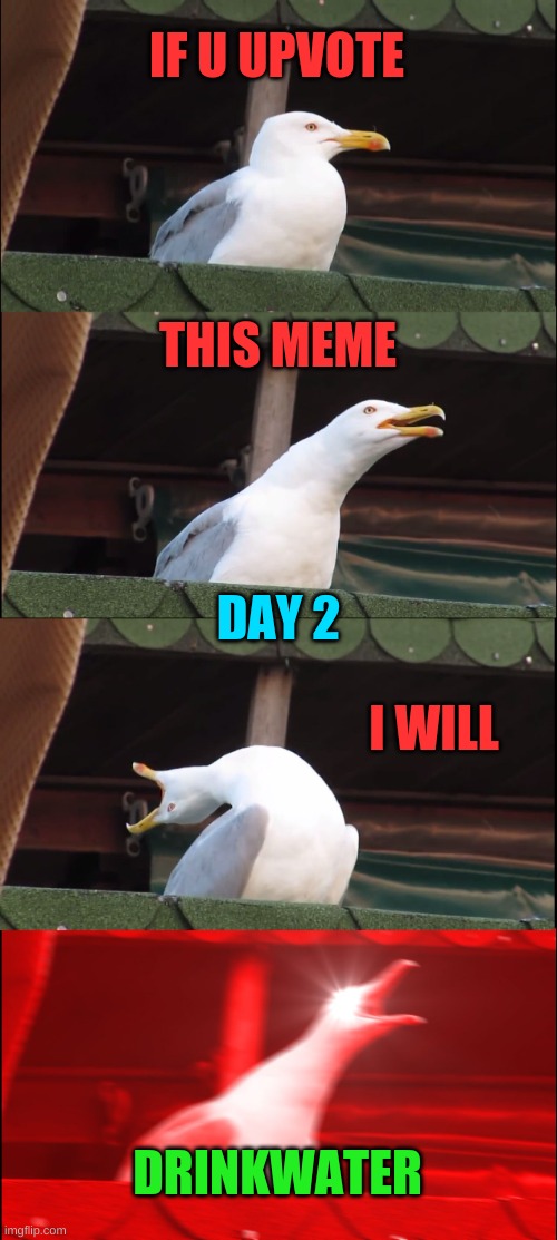 Inhaling Seagull Meme | IF U UPVOTE; THIS MEME; DAY 2; I WILL; DRINKWATER | image tagged in memes,inhaling seagull | made w/ Imgflip meme maker