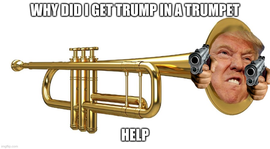 HELP | WHY DID I GET TRUMP IN A TRUMPET; HELP | image tagged in donald trumpet | made w/ Imgflip meme maker