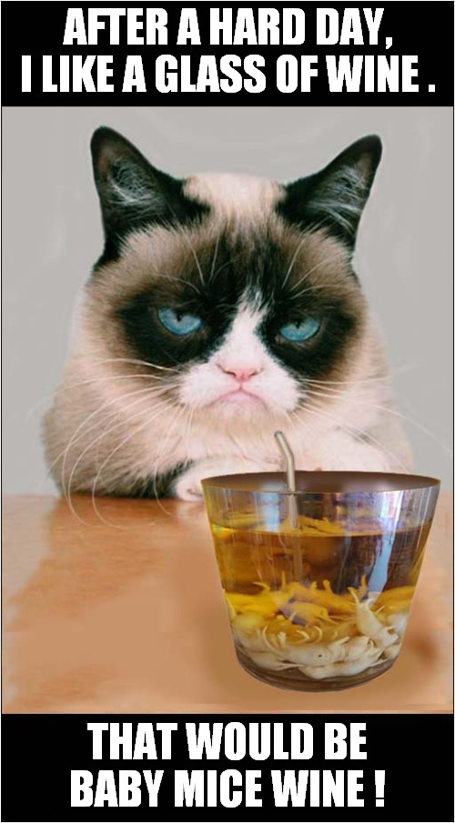 Grumpys Wine Recommendation ! | AFTER A HARD DAY, I LIKE A GLASS OF WINE . THAT WOULD BE BABY MICE WINE ! | image tagged in grumpy cat,wine,baby mice,cats | made w/ Imgflip meme maker