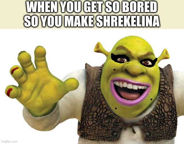 bruh | WHEN YOU GET SO BORED SO YOU MAKE SHREKELINA | image tagged in shrek | made w/ Imgflip meme maker