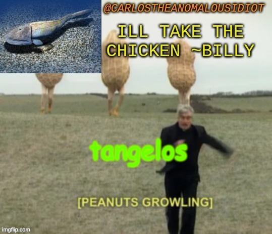 Thanks poggydoggy (sorry if i mistyped your user} | tangelos | image tagged in growling peanut temp | made w/ Imgflip meme maker