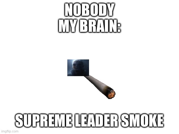 Supreme Leader smoke | NOBODY
MY BRAIN:; SUPREME LEADER SMOKE | image tagged in blank white template | made w/ Imgflip meme maker