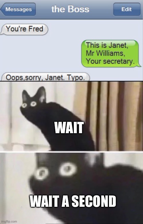 WAIT; WAIT A SECOND | image tagged in oh no black cat | made w/ Imgflip meme maker