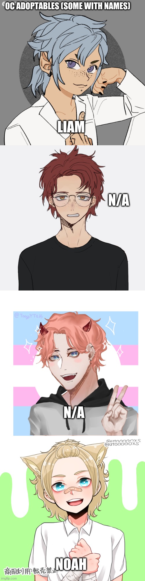 Whoever gets Noah is luckyy | OC ADOPTABLES (SOME WITH NAMES); LIAM; N/A; N/A; NOAH | made w/ Imgflip meme maker