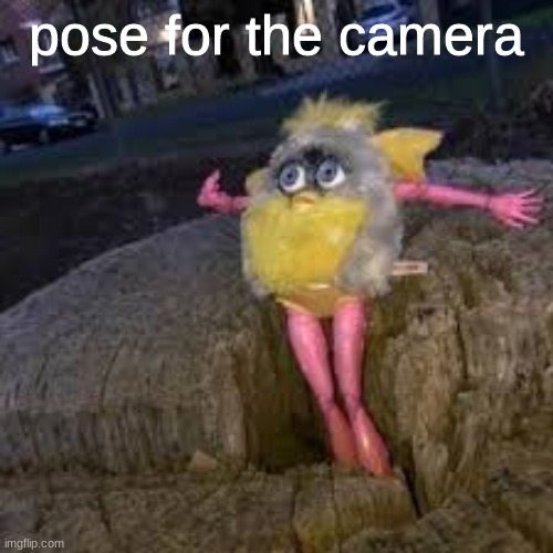 she's an aspiring model | pose for the camera | image tagged in cursed image,cursed,random,pose,oh god why | made w/ Imgflip meme maker
