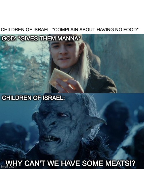 CHILDREN OF ISRAEL: *COMPLAIN ABOUT HAVING NO FOOD*; GOD: *GIVES THEM MANNA*; CHILDREN OF ISRAEL:; WHY CAN'T WE HAVE SOME MEATS!? | image tagged in lotr | made w/ Imgflip meme maker