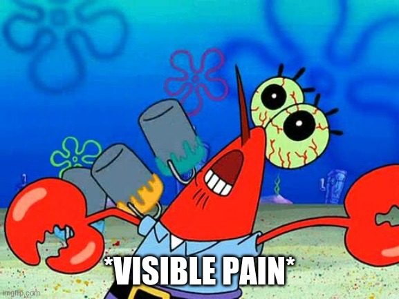 oww my [dolphin noise] foot | *VISIBLE PAIN* | image tagged in oww my dolphin noise foot | made w/ Imgflip meme maker